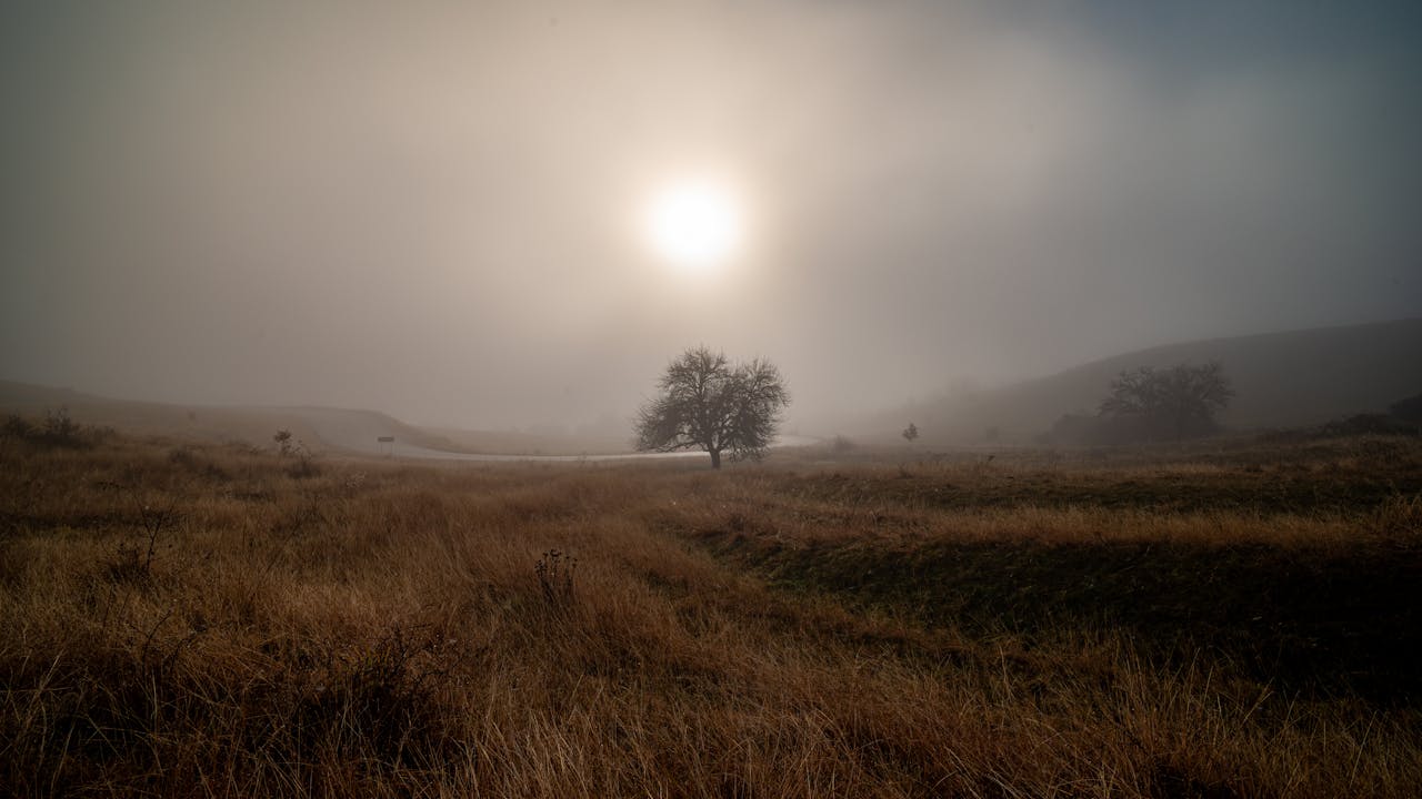 Free stock photo of atmospheric, autumn, cinematic